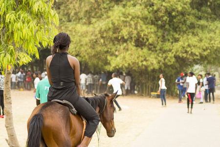 Back view of a lady on a horse at the parkのeditorial素材