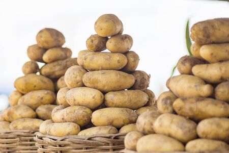 Baskets of Irish potatoes for saleの写真素材