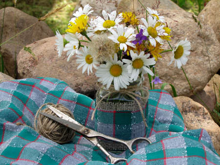 ?????? ??????? ?????の写真素材