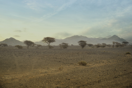 Desert with Clouds in Omanの写真素材