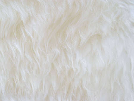 close view of white synthetic hairの写真素材