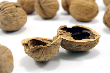 shell of empty walnut on white background