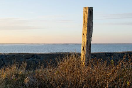 Landmark pole on the seaside in the sunset on the foreground some bushes. Relaxing environment.
