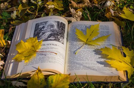 Still life with book and autumn leafsの写真素材