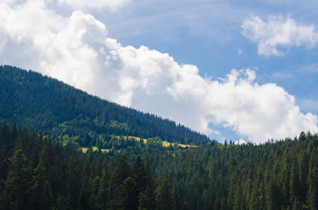 Carpathian mountains landscapeの写真素材