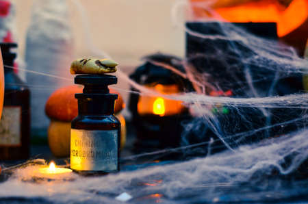 Halloween scary themeの写真素材