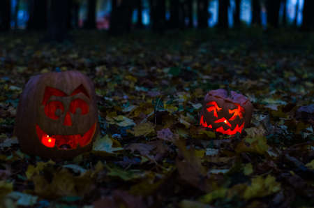 Halloween scary themeの写真素材