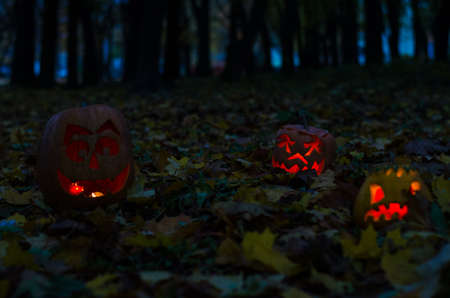 Halloween scary themeの写真素材