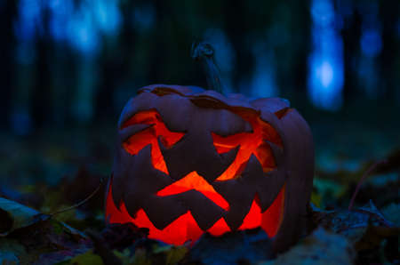 Halloween scary themeの写真素材