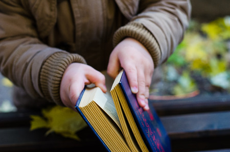Still life with book and autumn leafsの写真素材