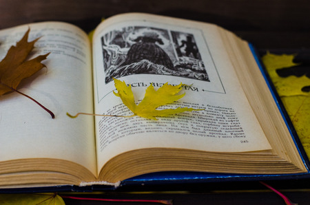Still life with book and autumn leafsの写真素材