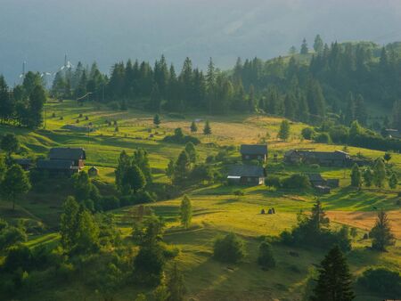 Carpathian mountains with forest and rural housesの写真素材