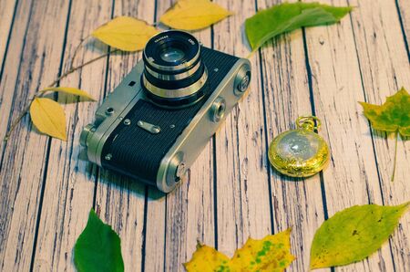 Still life with leaves composition on isolated background