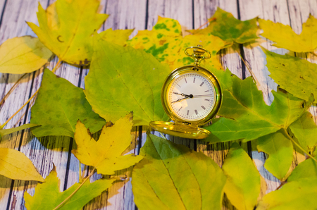 Still life with leaves composition on isolated background