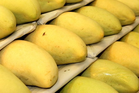 Thai Sweet Mango in Thai Local Marketの写真素材
