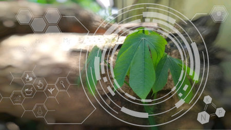 Digital composite of hexagon interface and green leaves on tree in forest
