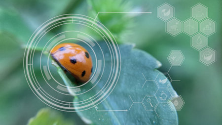 ladybug on green grass with bokeh background, nature conceptの写真素材