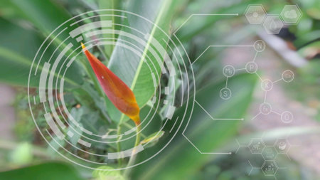 Blur image of Heliconia flower on green nature background.の写真素材