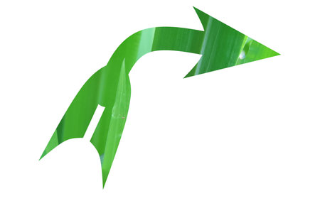 Green arrow isolated on white background with clipping path. The arrow shows the direction.
