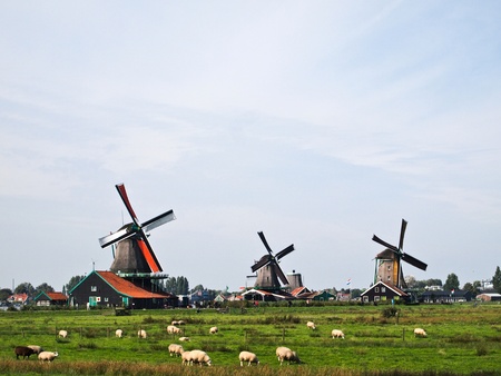 Dutch windmills of The Netherlands , that it's often the first fact people recall about the country.の写真素材