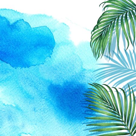 Watercolor painting frame coconut leaves palm,green leaf with shadow on blue wave background.Watercolor illustration tropical exotic leaf,design,wedding invitation,posters backdrop or save the date.の写真素材