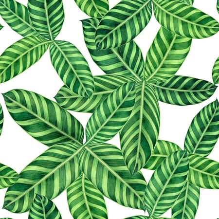 Watercolor painting colorful tropical palm leaf,green leaves seamless pattern background.Watercolor hand drawn illustration tropical exotic leaf prints for wallpaper,textile Hawaii aloha jungle style.の写真素材