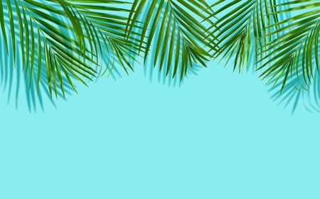 Plam,coconut leaves,green leaf with shadow on blue background.Flat lay,top view pastel color illustration tropical exotic leaf,invitation,backdrop.  and space for text Minimal style summer concept.の写真素材