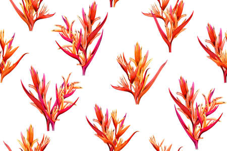 watercolor painting bird of paradise blooming flowers,colorful seamless pattern on white...