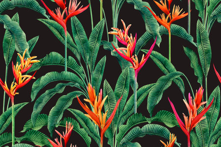 watercolor painting bird of paradise blooming flowers,colorful seamless pattern dark background.Watercolor hand drawn green leaves illustration tree tropical exotic leaf for wallpaper textile summer.の写真素材
