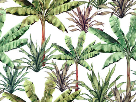 Watercolor painting colorful tree,banana,palm leaves seamless pattern background.Watercolor hand drawn illustration tropical exotic leaf prints for wallpaper,textile Hawaii aloha jungle pattern.の写真素材