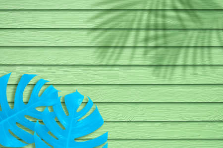 Flat lay,top view minimal illustration tropical exotic leaf,design,summer backdrop.Tropical...