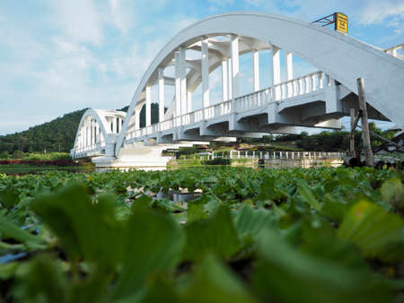 Beautiful railway Bridge, Lamphun Thailand. Speak in Thai: Sa-Phan-Khao-Tha-Chom-Phu.の写真素材