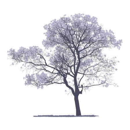 vector drawing of the tree - detailed vectorのイラスト素材