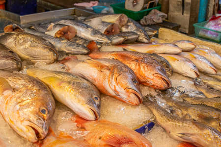 seafood market in Naklua near Pattaya