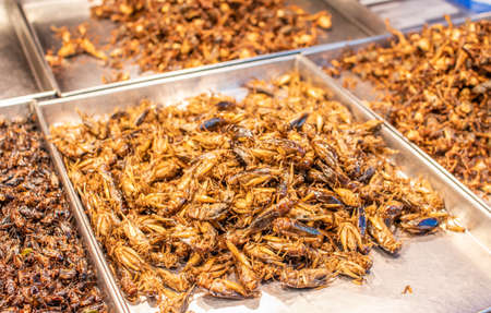 from 03.11. A Thai festival took place around the Phra Pathom Chedi in Nakhon Pathom from 11th to 5th November 2020. In the area of the chedi, innumerable thai foods could be seen. Despite the currentのeditorial素材