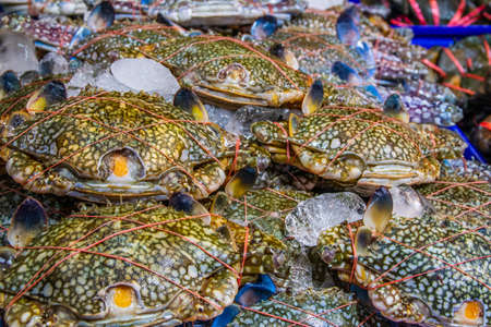 seafood from Thailand Southeast Asiaの写真素材