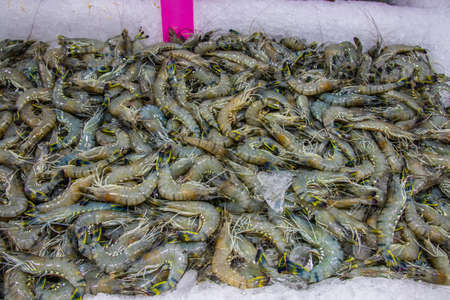 seafood from Thailand Southeast Asiaの写真素材