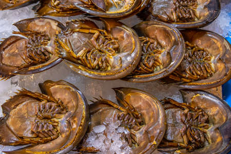 seafood from Thailand Southeast Asiaの写真素材