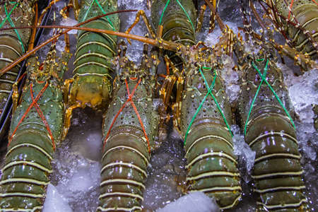 seafood from Thailand Southeast Asiaの写真素材