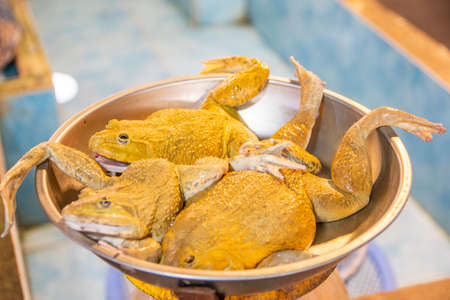 Frogs for Sale at a Street Food Market in Thailand Southeast Asiaの写真素材