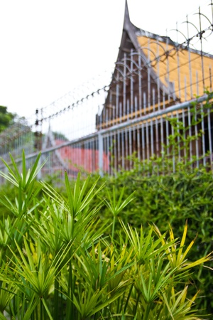 old wood houseの写真素材