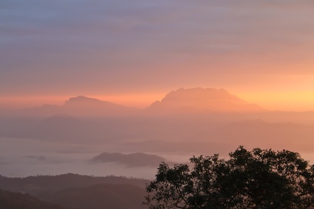 mountain landscape with treeの写真素材