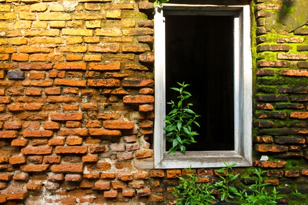 old ,window  wall at thailand