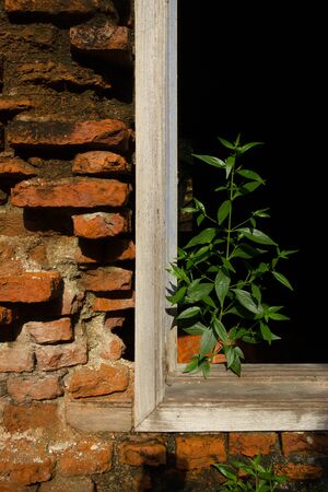 old ,window  wall at thailandの写真素材