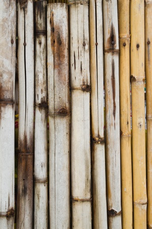 bamboo fence , at Thaiの写真素材