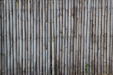 bamboo fenceの写真素材