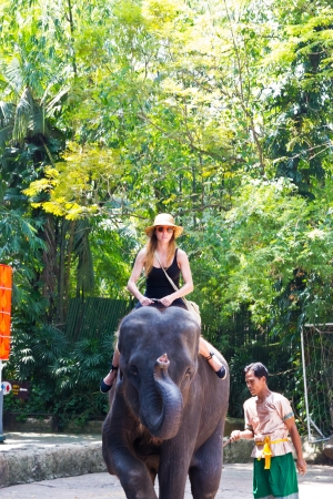 bANGKOK, THAILAND - oct 20: a tourist rides the elephant in a zoo opens safari worldのeditorial素材