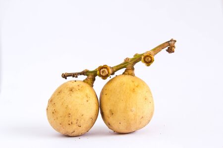 Longkong,Thai fruits isolated white on backgroundの写真素材