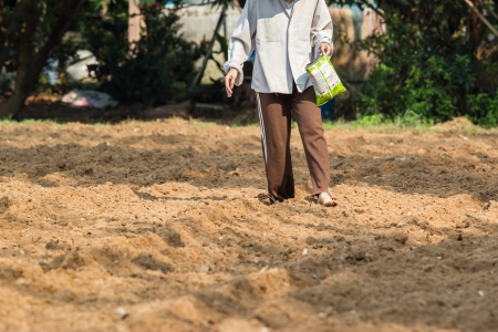 a laborer is scatterring a seed down the earthの写真素材