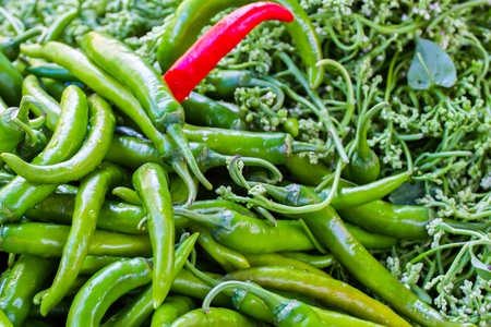 green Pepperの写真素材